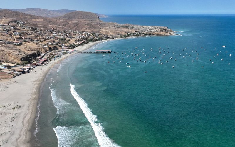 Día Mundial de los Océanos: emprendedores peruanos innovan para proteger el mar