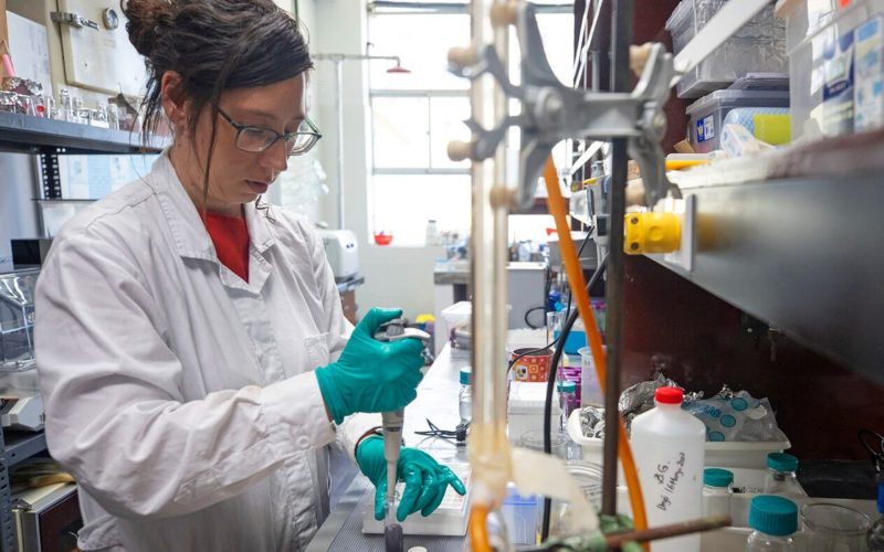 Investigadores trabajan en test rápido para la detección temprana de cáncer de colon