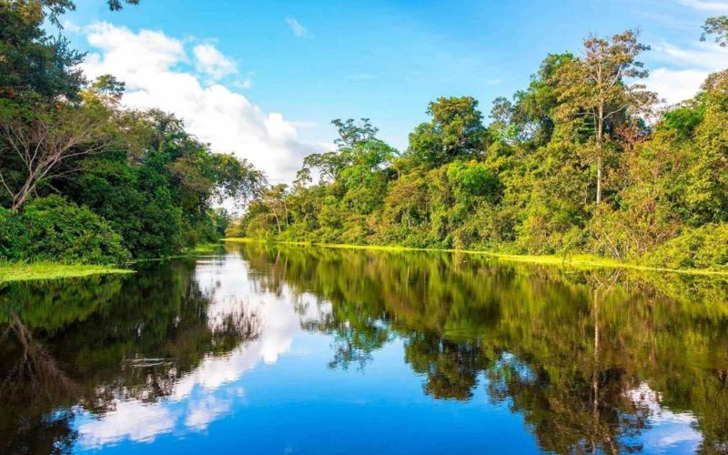Concurso busca conservar 7.3 millones de hectáreas de bosques tropicales en seis regiones