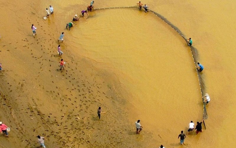 Científicos usan ADN ambiental para estudiar recuperación de pozas mineras abandonadas