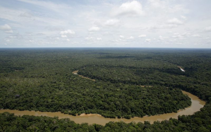 Establecen Área de Conservación Regional Medio Putumayo Algodón
